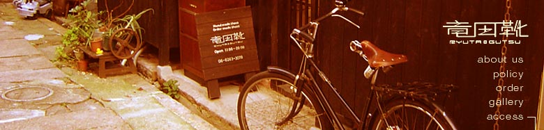 <access-image>
